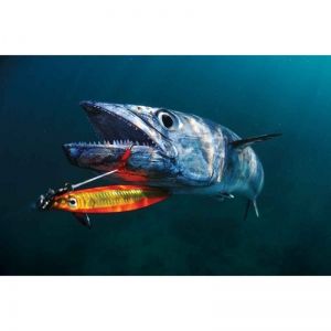 Слоу Джигинг или изкуството да уловиш риба с парче желязо