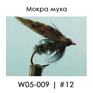 Wet fly | W05 | English