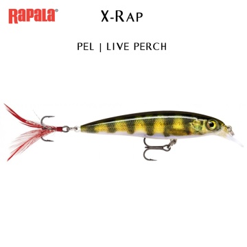 Rapala X-Rap 10cm Freshwater