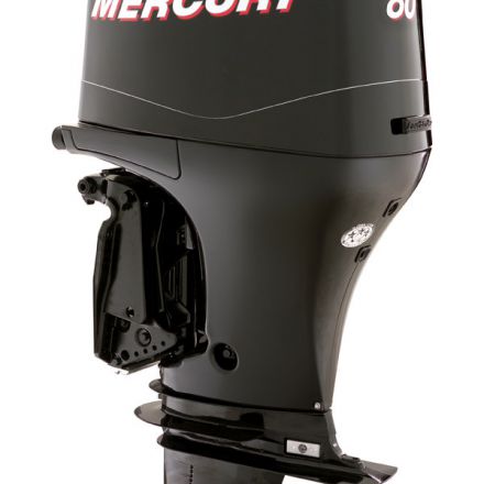 Mercury F80 ELPT EFI outboard motor