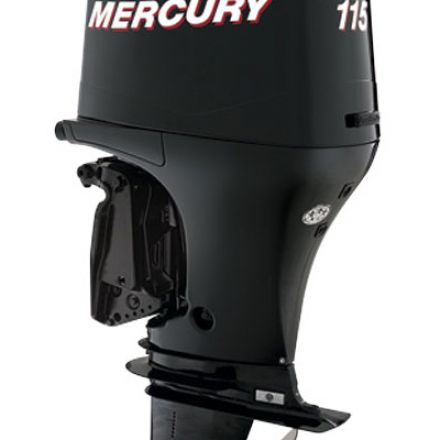 Mercury F115 ELPT EFI outboard motor
