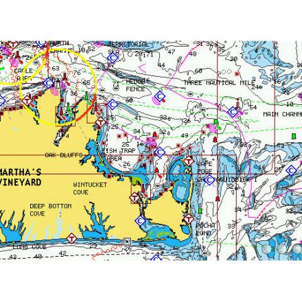 Навигационна карта Navionics Gold XL9 MSD 43XG (Средиземно и Черно море)