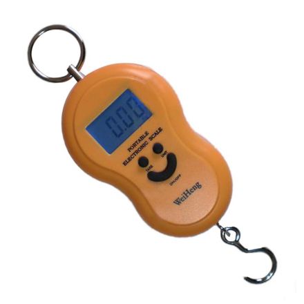 Portable Electronic Scale 40 kg
