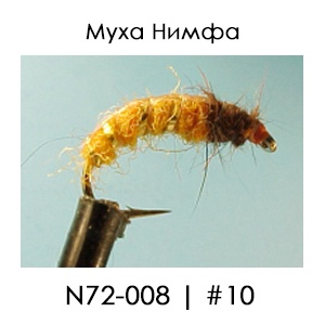 Nymphs | N72 | English