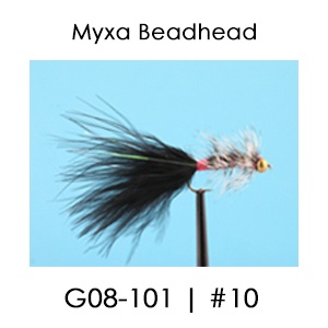 Beadhead Fly | G08 | English
