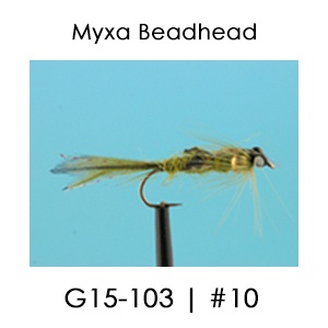 Beadhead Fly | G15 | English