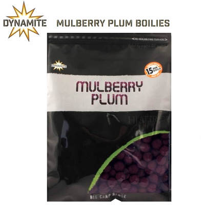 Dynamite Baits Mulberry Plum Boilies | Протеинови топчета