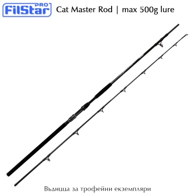 Filstar Cat Master 3.10m | Rod