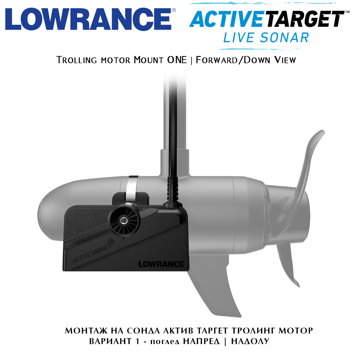 Active Target Mount Type 1 | Trolling motor | Forward, Down View