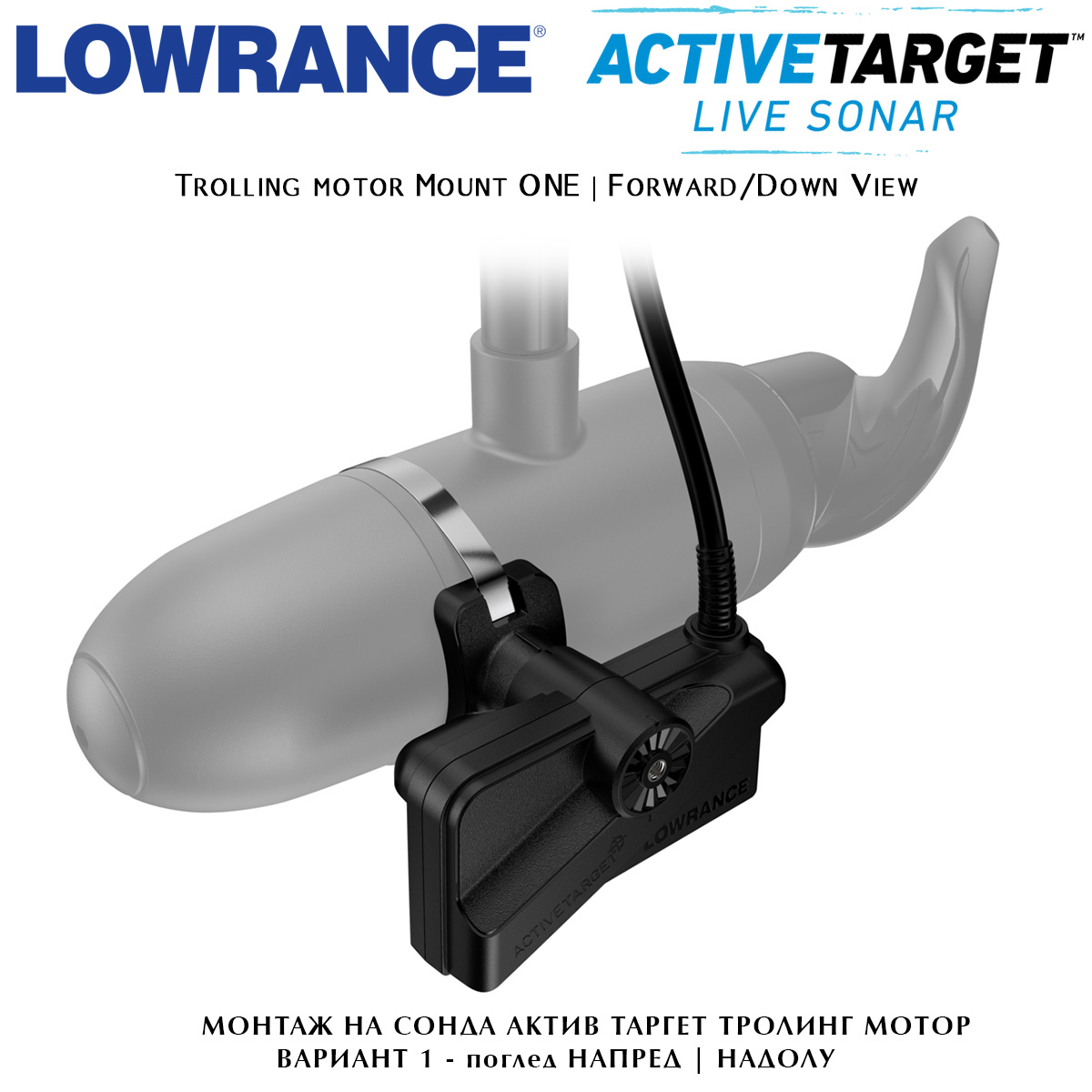 Active Target Mount Type 1 | Trolling motor | Forward, Down View