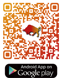 Google Play Store Android - Olalitio Smart BMS APP