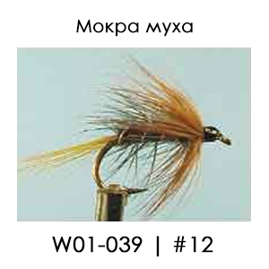 Wet fly | W01 | English