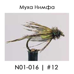 Nymphs | N01 | English
