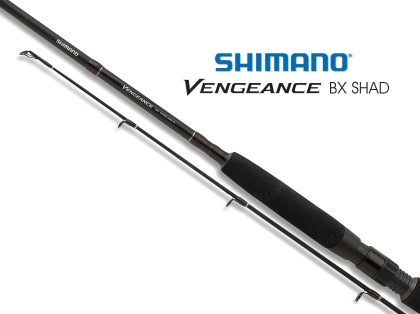 Shimano Vengeance BX Spinning SHAD 2.70 XH