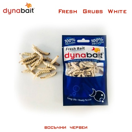 Dynabait Fresh Grubs White | Восковые черви