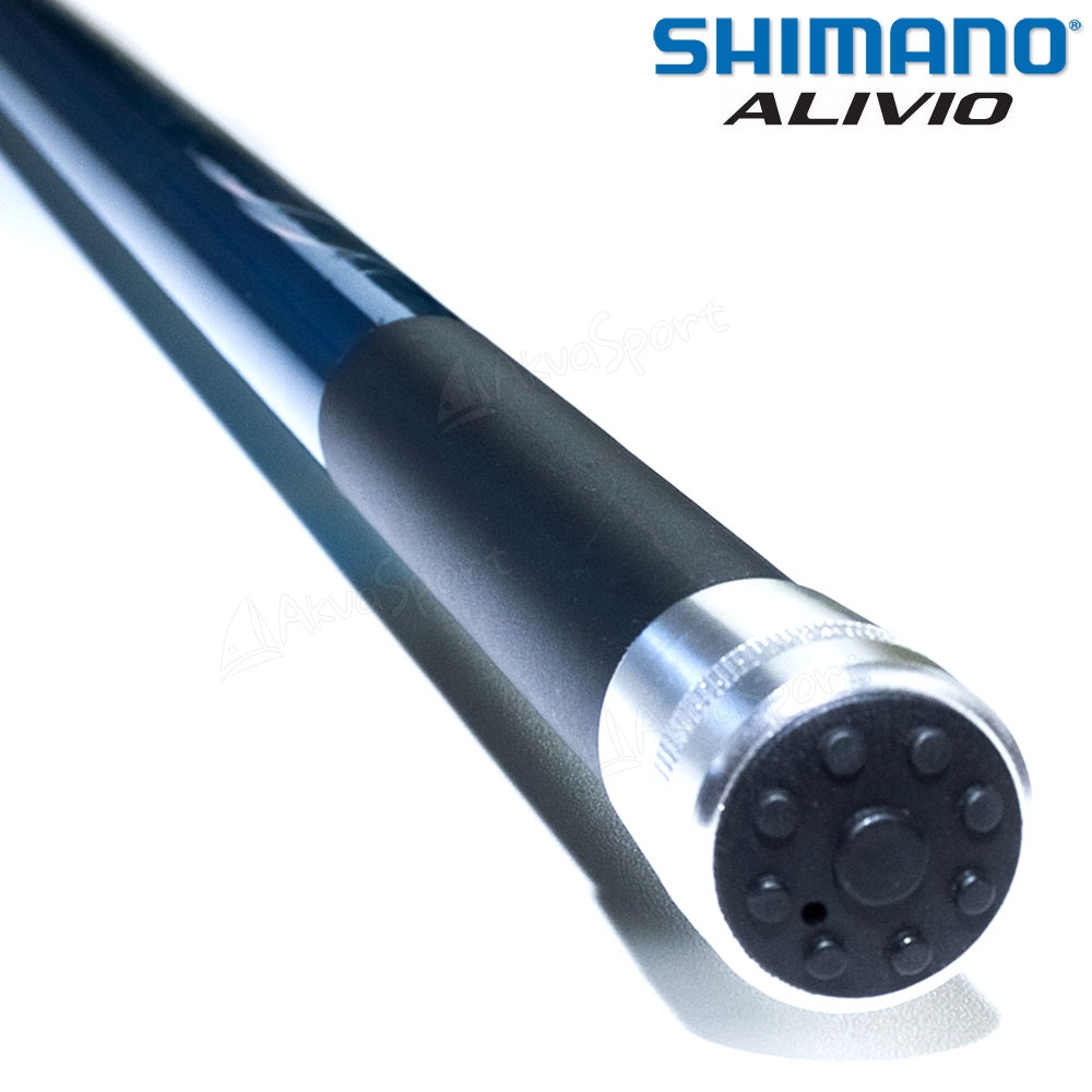 Shimano Alivio FX Tele Surf 4.20m 170g