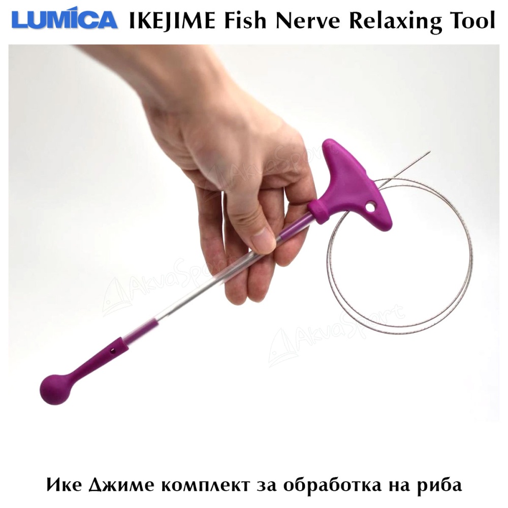 Shinkei-Jime Fish Spike Wire Tool SUPER LONG (Ikejime, Ikijime) 2
