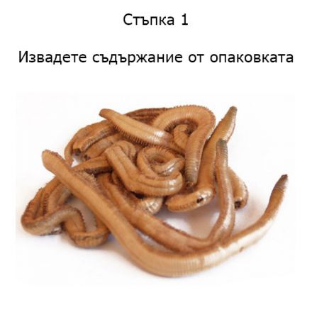Dynabait Lug Worms  | Морски червеи сушени