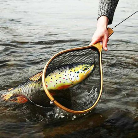 Brown Trout Fish Pillow