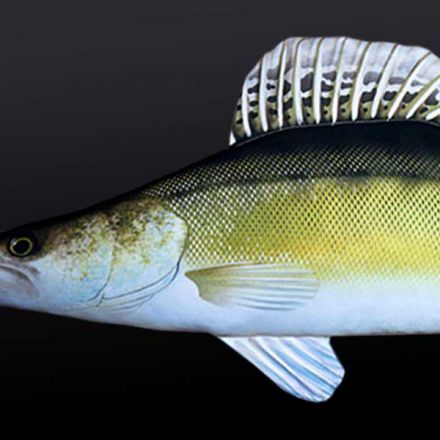 Възглавница-риба Бяла РИба