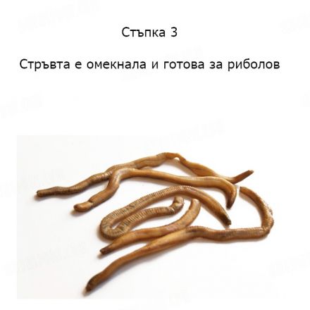 Сушени червеи Dynabait Freeze Dried Blood Worms 1 кг