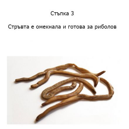Сушени морски червеи Dynabait Freeze Dried Sand Worms 1 кг