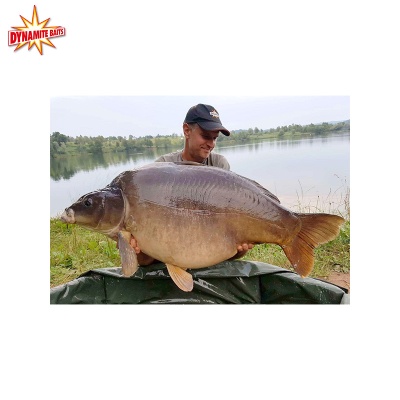 Dynamite Baits boilie Robin Red