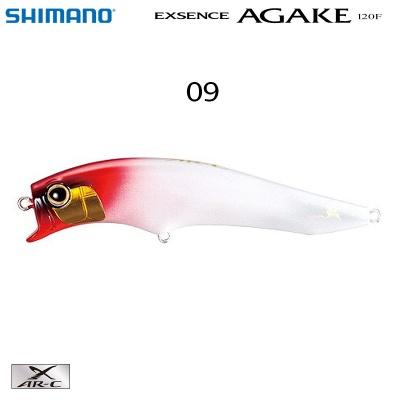 Shimano Exsence Agake 120F 09T