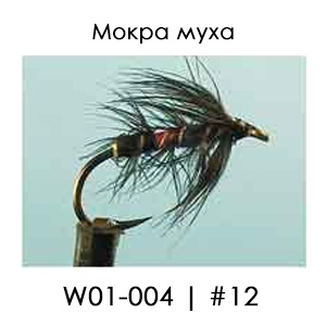 English Wet Fly | W01/004 Bibbio