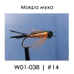 English Wet Fly | W01/038 Water Bloa Spider