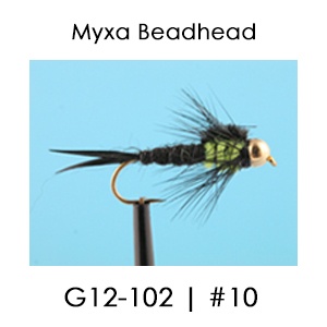 Beadhead Fly | G12 | English