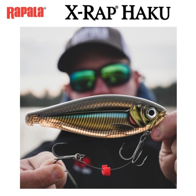 Rapala X-Rap Хаку 14см | Кастинговый воблер