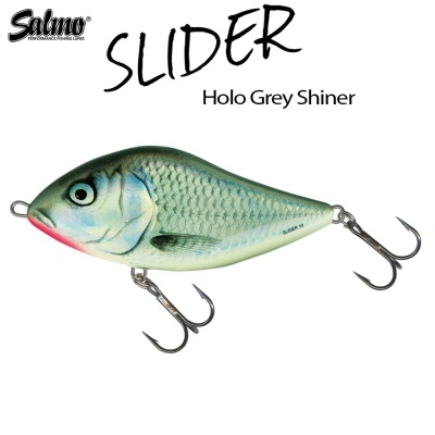 Salmo Slider | Holographic Grey Shiner HGS