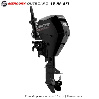 Mercury 15 EFI | Outboard motor | Tiller handle