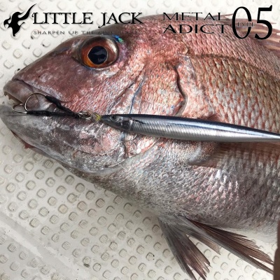 Little Jack Metal Adict Type-05 Jig | Snapper