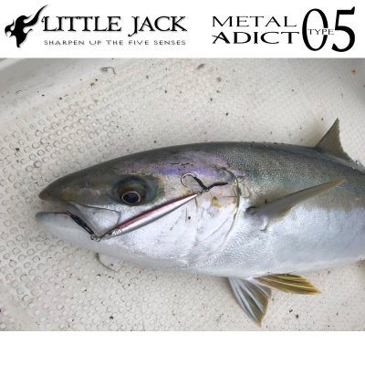 Little Jack Metal Adict Type-05 Jig | Amberjack