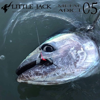 Пилкер Little Jack Metal Adict Type-05 | Улов на туна