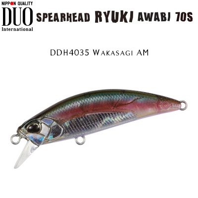 DUO Spearhead Ryuki Awabi 70S | DDH4035 Wakasagi AM