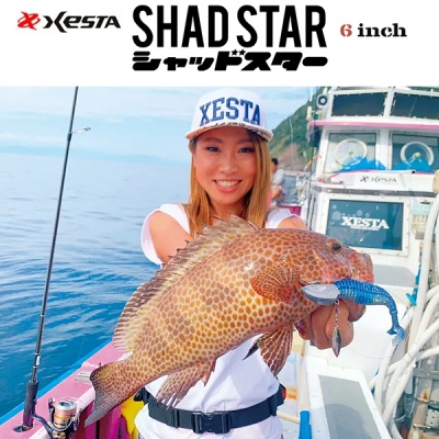 Xesta Star Worm Shad Star 6" | Light Rock Fishing Soft Bait