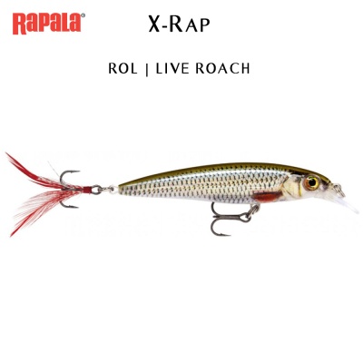 Rapala X-Rap (fresh water) ROL | LIVE ROACH