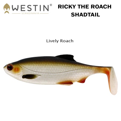 Lively Roach