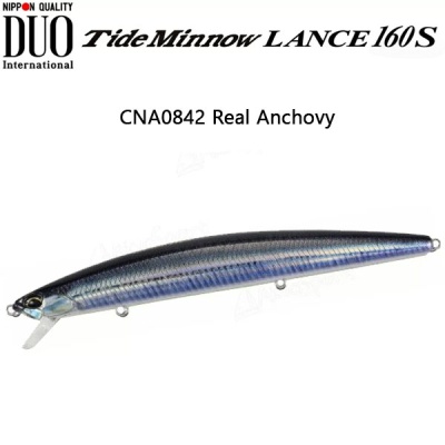 DUO Tide Minnow Lance | CNA0842 Real Anchovy