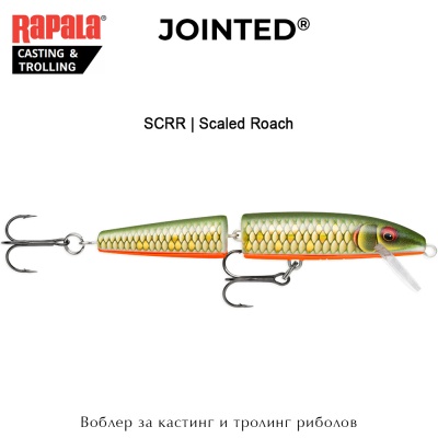 Rapala Jointed | SCRR